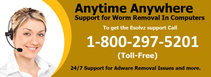Image for Support For Worm Removal In Computer with ID of: 1091880