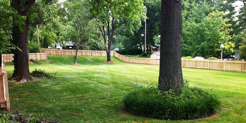 Image for Deck & Fence Services with ID of: 1092032