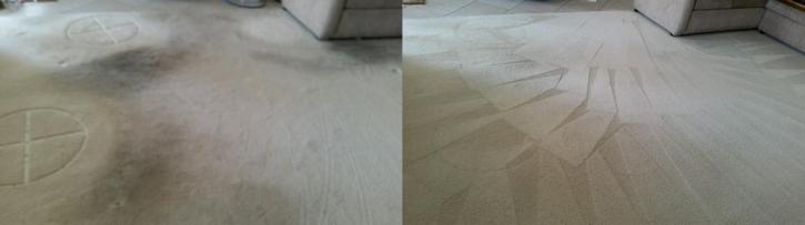 Image for Quality Master Carpet Care with ID of: 1092273