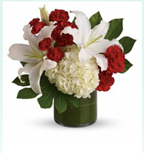 Image for Flowers Gifts with ID of: 1092438