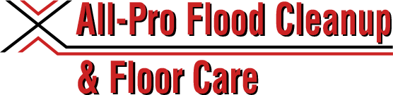 Image for All-Pro Flood Cleanup & Floor Care with ID of: 1092503