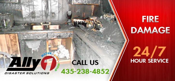 Image for Ally 1 Disaster Solutions with ID of: 1092654