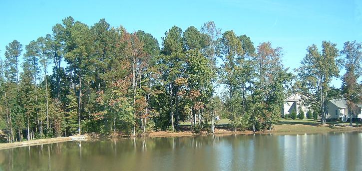 Image for New Construction Charleston Style home on water front lot with ID of: 109373