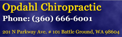 Image for Opdahl Chiropractic Office with ID of: 1094484