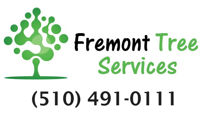 Image for Fremont Arborist Tree Services with ID of: 1094704