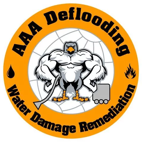 Image for AAA Deflooding with ID of: 1098242