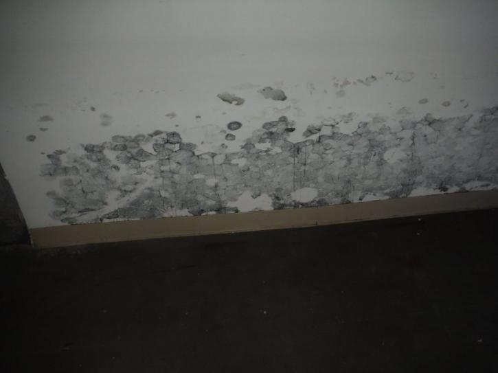 Image for AAA Deflooding with ID of: 1098246