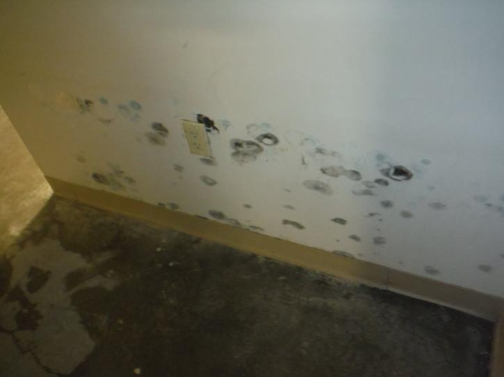 Image for AAA Deflooding with ID of: 1098247