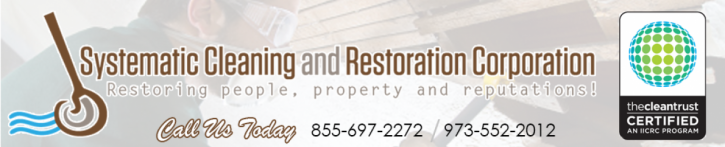 Image for Systematic Cleaning and Restoration Services Corp with ID of: 1098921