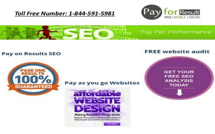 Image for Pay Monthly SEO with ID of: 1100524