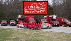 Image for Unlimbited Tree Service Inc. with ID of: 1100777