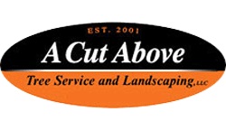 Image for A Cut Above Tree Service and Landscaping with ID of: 1105514
