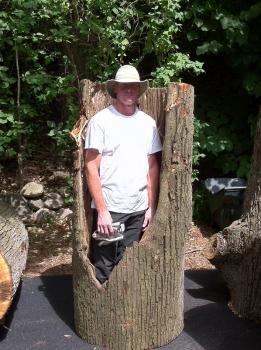 Image for A Cut Above Tree Service and Landscaping with ID of: 1105517