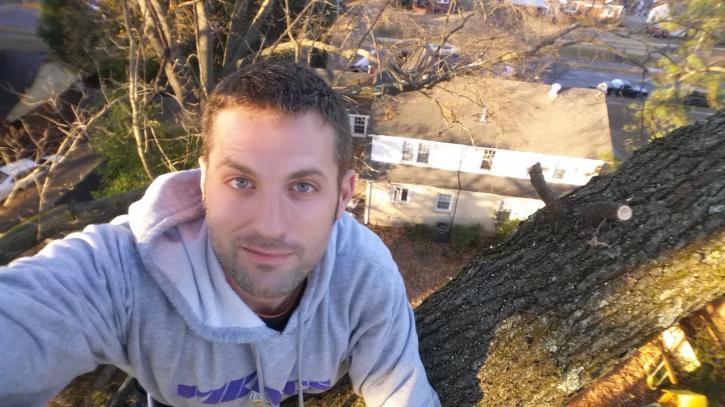 Image for Memphis Tree Service with ID of: 1106232