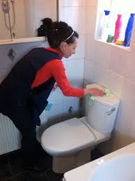 Image for iShine Cleaning Company, LLC with ID of: 1106718