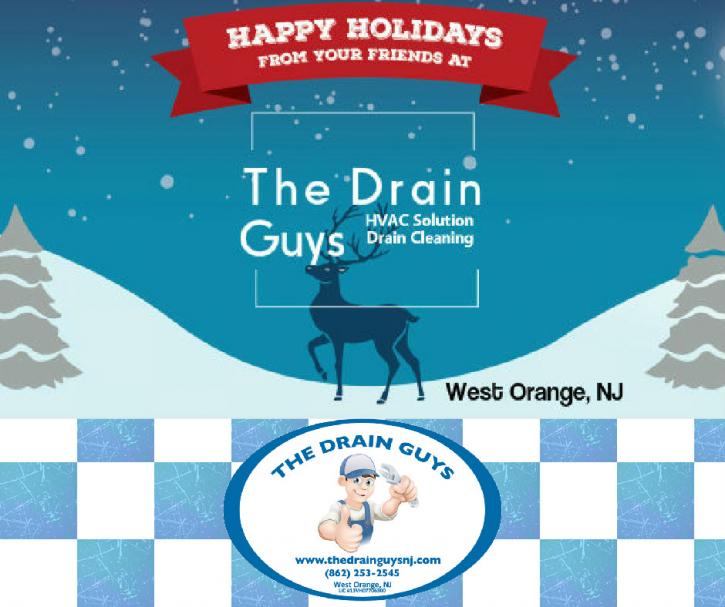 Image for Drain and HVAC Solution Coupons | The Drain Guys with ID of: 1106761