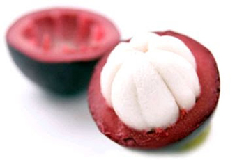 Image for EL Mangostino with ID of: 1106969