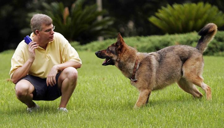 Image for Baton Rouge dog trainer with ID of: 1108014