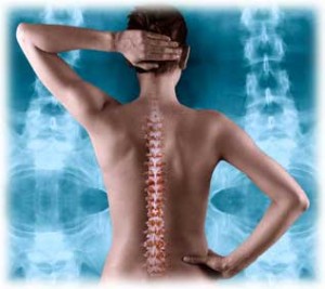 Image for Best Chiropractor Oshkosh with ID of: 1109873