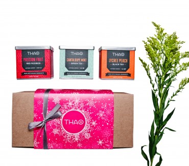 Image for THAO Tea Co with ID of: 1110113