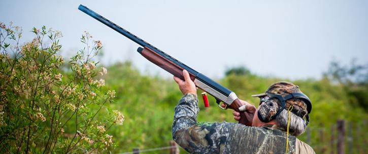 Image for Dove Hunting Trips with ID of: 1110156