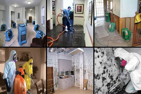 Image for Weston Water Damage with ID of: 1110686