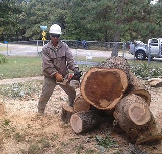 Image for Rafael's Tree Service with ID of: 1111563
