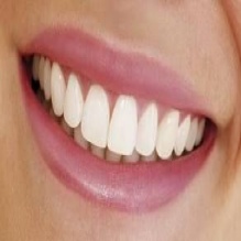 Image for SQV Dental Laboratory with ID of: 1113088