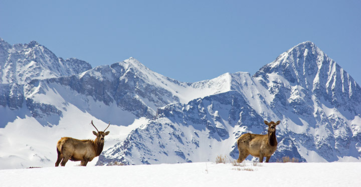 Image for Property management services telluride with ID of: 1113756