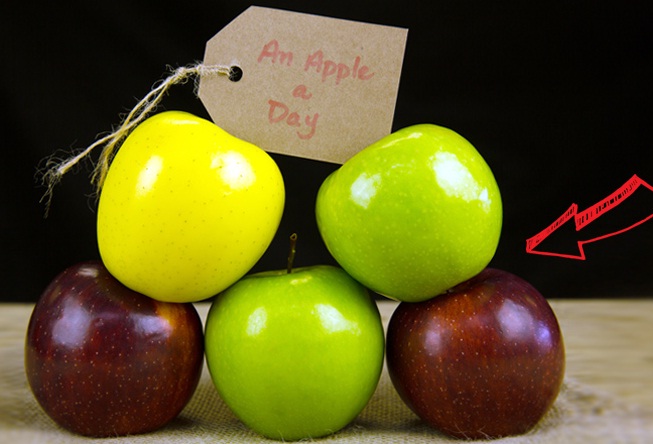 Image for The 5-Day FAST Diet with ID of: 1113790