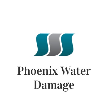 Image for Phoenix Water Damage with ID of: 1116115