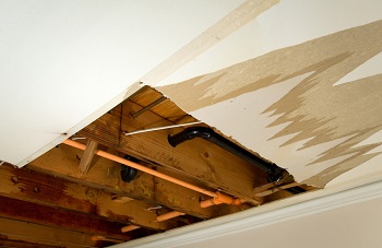 Image for Phoenix Water Damage with ID of: 1116120