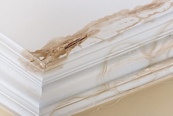 Image for Phoenix Water Damage with ID of: 1116121