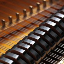 Image for Gary McGrath Piano Services with ID of: 1116183
