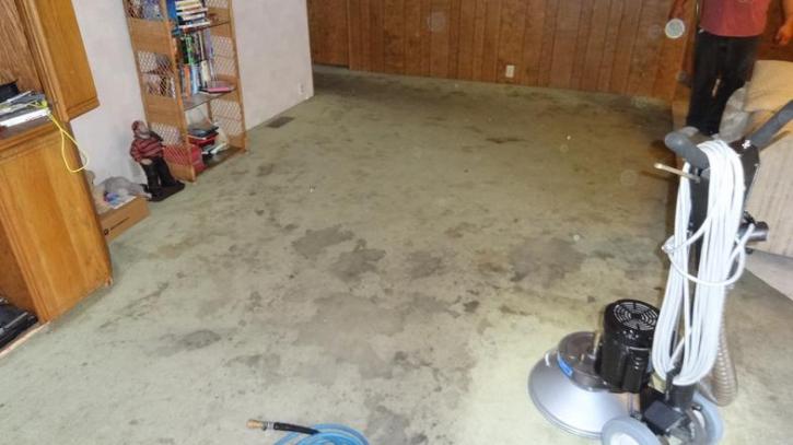 Image for Affordable Carpet Cleaning Service with ID of: 1118187