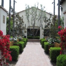Image for Irvine Quail Hill Orthodontics with ID of: 1118324