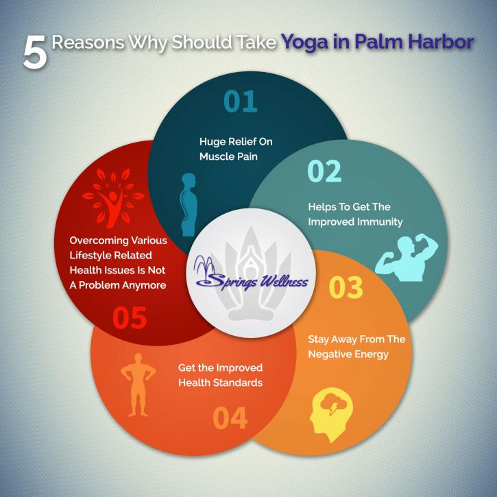 Image for Yoga Palm Harbor with ID of: 1118924