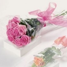 Image for Branson Petal Pushers with ID of: 1119747