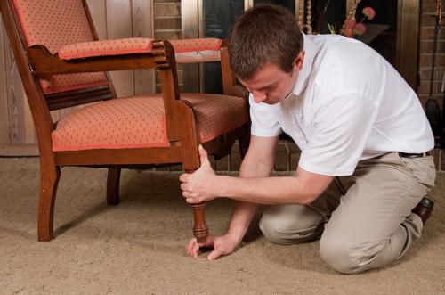 Image for Best Carpet Cleaning Services, LLC with ID of: 1120283