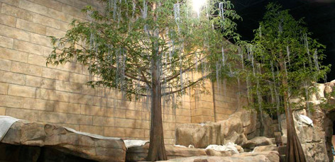 Image for 5 Reasons Why Artificial Indoor Trees Are the Perfect Choice for Your Office! with ID of: 1122503