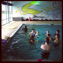 Image for SwimJim Texas LLC with ID of: 1123451