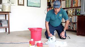 Image for Smithtown Carpet Cleaning Experts with ID of: 1124410