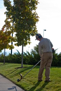 Image for Neathery Landscape & Maintenance with ID of: 1124547