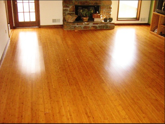 Image for Lakewood House Cleaning Services with ID of: 1124561