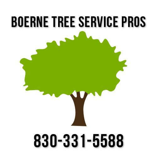 Image for Boerne Tree Service Pros with ID of: 1124708