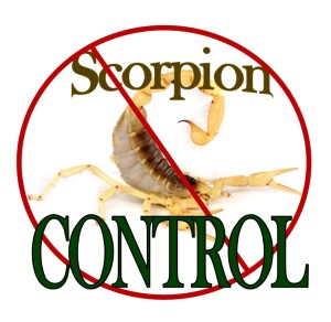 Image for Responsible Pest Control with ID of: 1125427