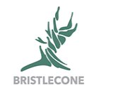 Image for Bristlecone Construction with ID of: 1126026