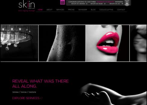 Image for Skiin with ID of: 1127156