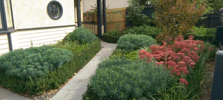Image for AEP Landscapes with ID of: 1127280