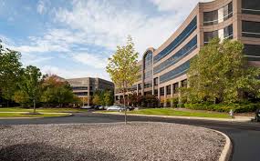 Image for Patituce & Associates, LLC with ID of: 1128037